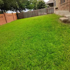 yard maintenance by Aguilar Landscaping  reviewed on February 12, 2024