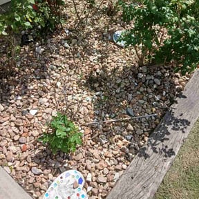 Flower Bed Weeding by Charlie's lawn Care reviewed on July 14, 2026