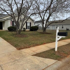 Bush Trimming by MileStone Lawn Services reviewed on November 28, 2025