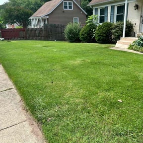 lawn care by Brenden Bamberger (Ground Effects) reviewed on August 19, 2025