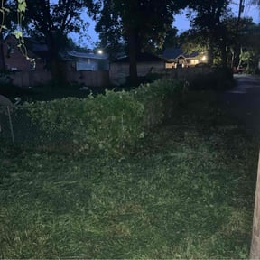 Bush Trimming by No Mow Worries!!! reviewed on November 5, 2025