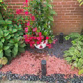 Flower Bed Weeding by Dirty Hands Clean Money LLC reviewed on August 15, 2025