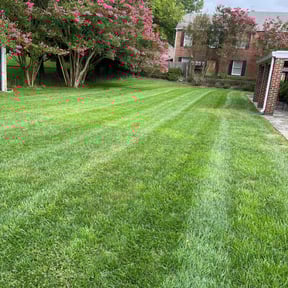 landscaping by Green Gladiators reviewed on November 20, 2025