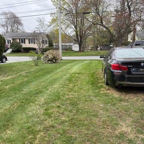 Leaf Removal by Sumner Property Management reviewed on April 19, 2026