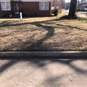 Leaf Removal by Rosetta LLC reviewed on June 3, 2026