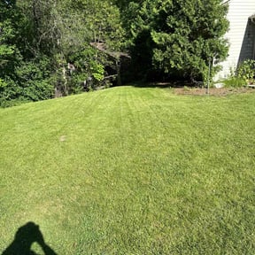 lawn care by Rjm reviewed on August 20, 2025