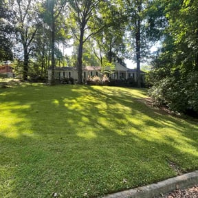 landscape maintenance by Harvey Handy &amp; Lawn reviewed on June 27, 2025