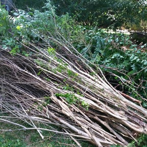 Bush Trimming by GOAT Lawn Sevice reviewed on June 27, 2022