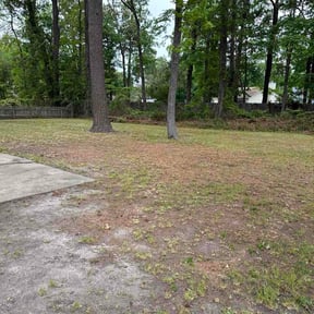 Leaf Removal by Dews lawncare reviewed on August 24, 2026