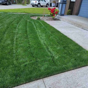 lawn care by Johnson landscaping reviewed on August 18, 2025