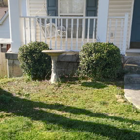 Bush Trimming by Mauler Mowing LLC reviewed on August 19, 2025