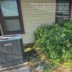 Bush Trimming by Field of Green lawn and Landscape reviewed on January 22, 2026