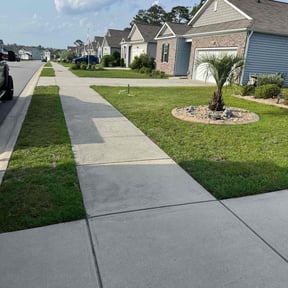 residential landscaping by La Costa Irrigation & Landscaping LLC reviewed on August 17, 2025