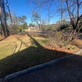 Leaf Removal by Rusted Vine reviewed on December 28, 2025