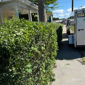 Bush Trimming by Year Round Yard Works reviewed on June 14, 2026