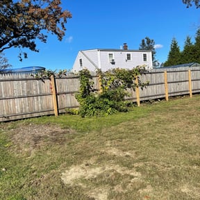 Leaf Removal by American landscaping llc. reviewed on September 20, 2025