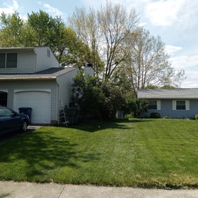 Bush Trimming by Cabrera Landscaping reviewed on January 19, 2023