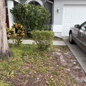 Bush Trimming by CCC Lawn Care LLC reviewed on November 9, 2025