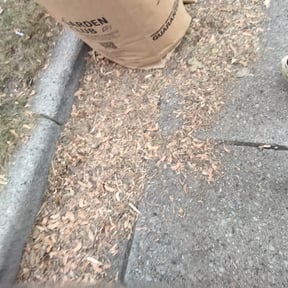 Leaf Removal by Graceful Lawn Care reviewed on September 27, 2025