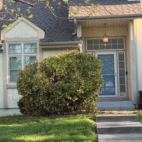 Bush Trimming by Jasmines Lawn and More reviewed on April 18, 2026