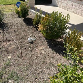 Flower Bed Weeding by Cutter's  reviewed on November 24, 2025