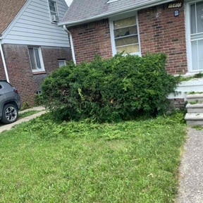 Bush Trimming by Barkley's Landscaping, LLC reviewed on August 20, 2025