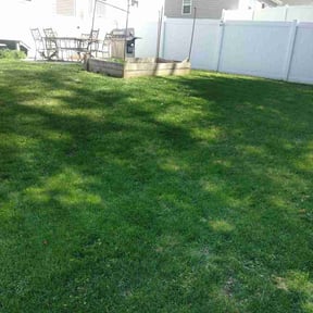 Bush Trimming by MATT’S LAWNCARE &amp; LANDSCAPEING reviewed on April 27, 2026