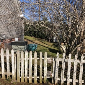 Leaf Removal by Marsha&#039;s Lawn Care &amp; Snow Removal Services reviewed on September 8, 2025