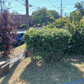 Bush Trimming by Burning River Lawn and Landscape LLC reviewed on October 22, 2025