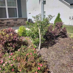 Bush Trimming by Hd landscape reviewed on August 16, 2025