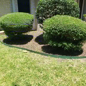 Bush Trimming by Family Greenscape a reviewed on August 18, 2025