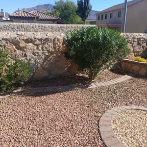 Bush Trimming by Dreaming Tree Lawns reviewed on November 22, 2025