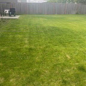 turf maintenance by Pines landscaping reviewed on November 22, 2024