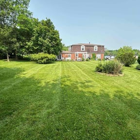 yard care by The Mowing Bro's LLC reviewed on December 30, 2025