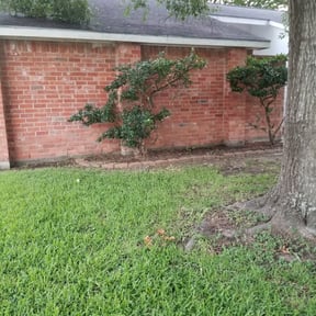 Bush Trimming by Extreme image lawn care reviewed on February 11, 2026