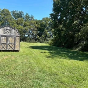 yard service by Charles' grass cutting reviewed on August 16, 2025