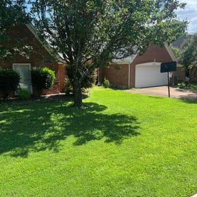 yard maintenance by Helping Hands reviewed on August 19, 2025