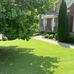 residential landscaping by CTB LAWN CARE reviewed on December 4, 2025