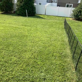 yard work by RG Lawn service reviewed on August 13, 2025