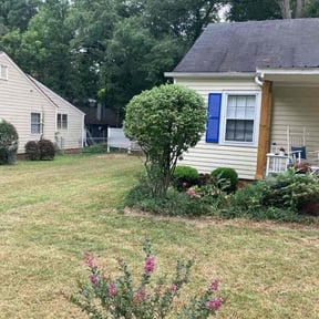 Bush Trimming by J & A lawn Maintenance LLC reviewed on August 19, 2025
