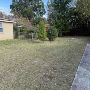 grass maintenance by RodIsBack Solutions reviewed on November 1, 2023