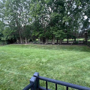 yard maintenance by Blessed Lawn Care Services &amp; Odd Jobs reviewed on August 17, 2025