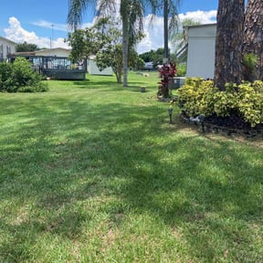 landscaping services by The Kadyebo way reviewed on December 4, 2025