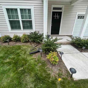 Flower Bed Weeding by David's Lawn Care reviewed on May 23, 2026