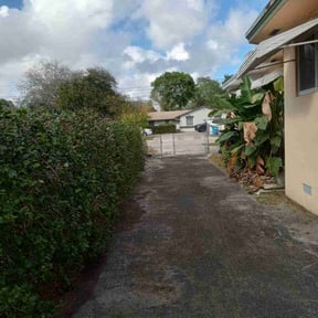 Bush Trimming by Nick Poole Home Services reviewed on January 29, 2026