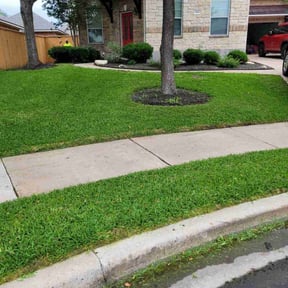 yard work by Paramount Professional Services reviewed on August 19, 2025