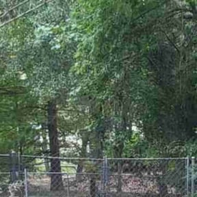 Bush Trimming by Morton &amp; Sons Home and Lawn Care reviewed on December 29, 2025