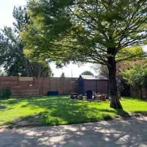 yard care by Doug's lawn service reviewed on November 22, 2025