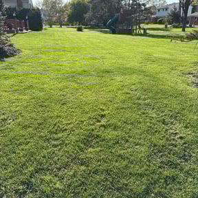 lawn maintenance by W.Y.W reviewed on August 18, 2025