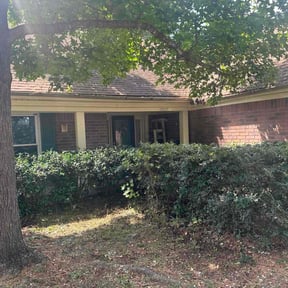 Bush Trimming by DLDavis Lawn Service reviewed on November 25, 2025